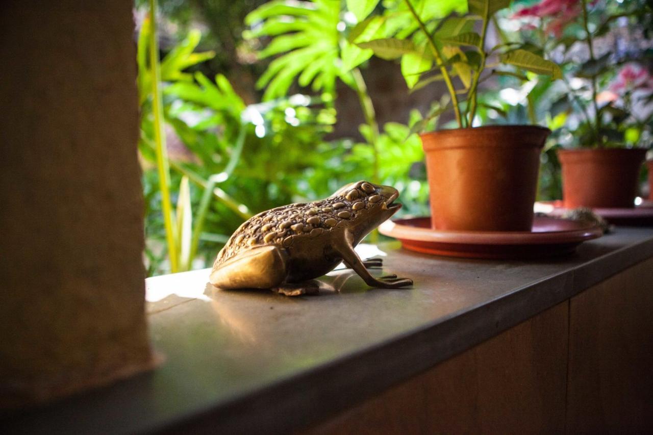 Serendipity House Goa Nerul  Quarto foto